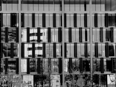 La cage est ouverte_4506096800_l.jpg